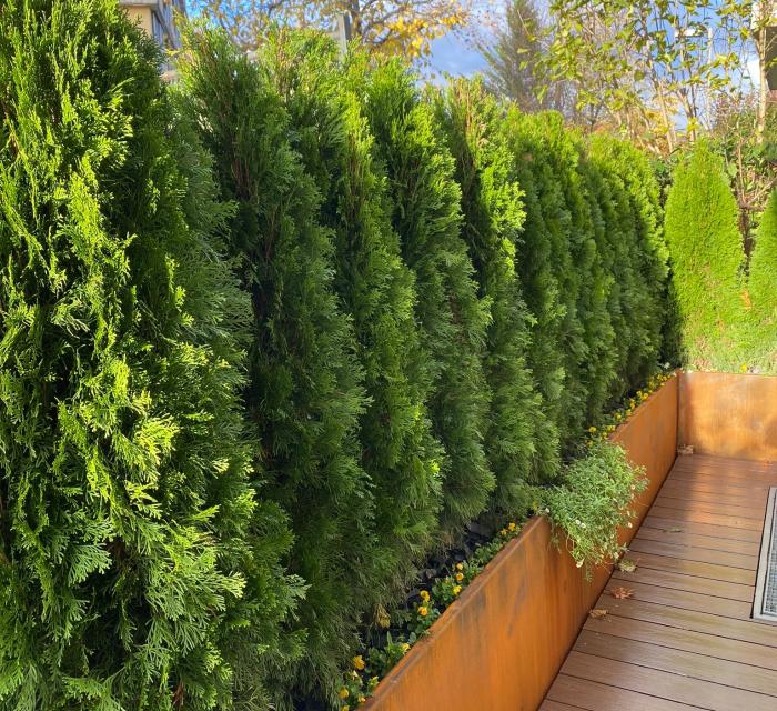 Ac6af2d8 0c22 497b 8c09 734020e32d4f