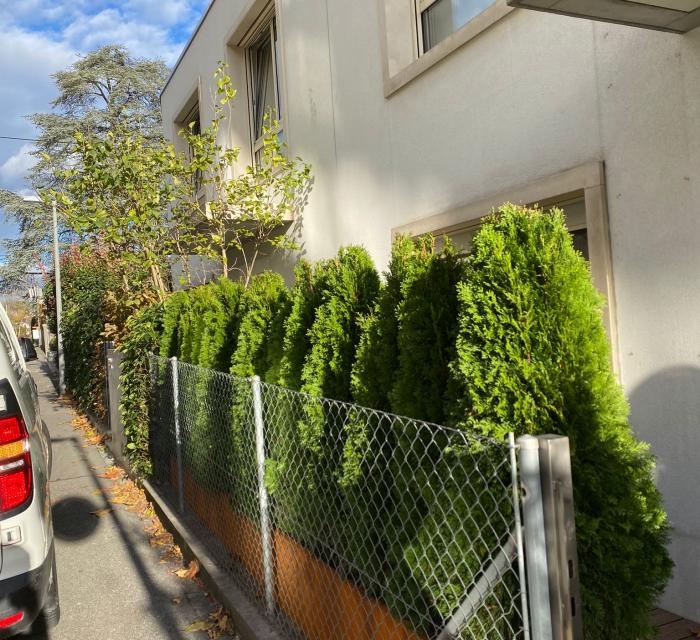 E8b43d6d 1d90 412d 95a8 365b00686cb9