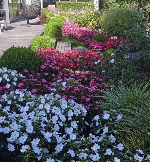 Paysagiste Vaud & Genève | Création de jardins