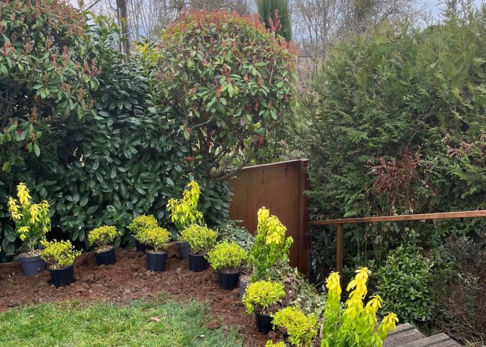 654584702_18050594144709961_8021069617064799465_n