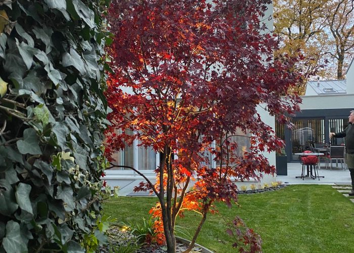 a6b1280e-0783-425d-bdd5-8ddf19f540e7