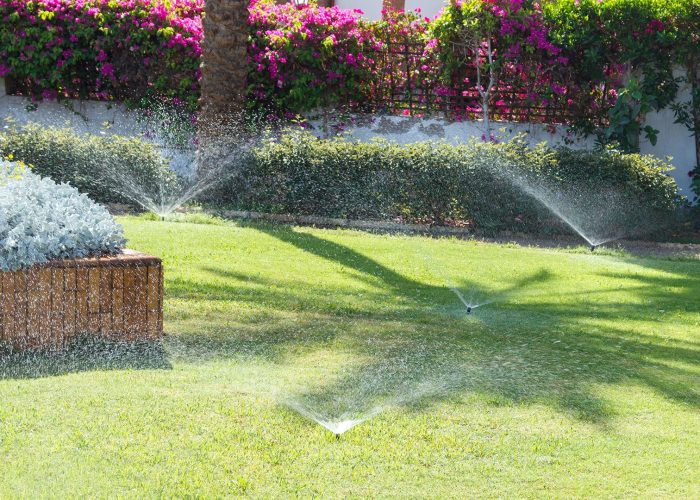 irrigation-arrosage-automatique-7